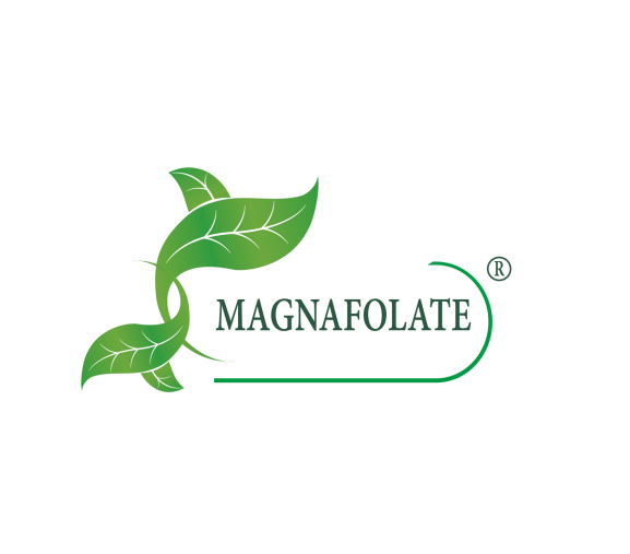 Wat is Magnafolaat®? Foliumzuur versus foliumzuur, wat is het verschil?