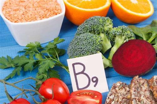 Wat is de gezondste bron van vitamine B9-Magnafolaat