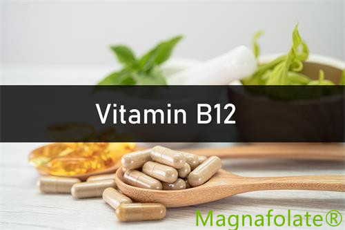 Vitamine B12: Inleiding, Voordeel, Gezondheid