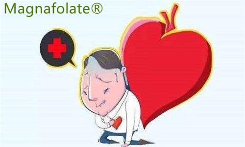 L-5-Methylfolaat: kan het risico op beroertes en hartaanvallen verminderen