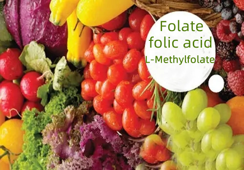 Foliumzuur (foliumzuur) en L-methylfolaat