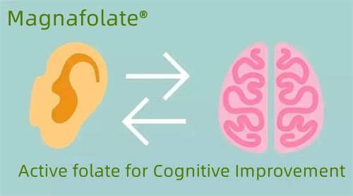 Actief foliumzuur voor cognitieve verbetering