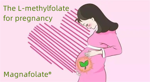 Het L-methylfolaat voor zwangere mensen