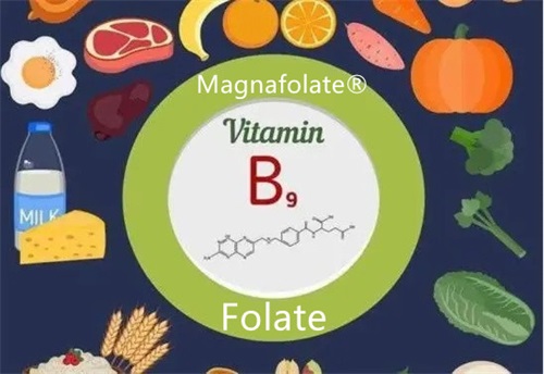 Foliumzuur, foliumzuur en L-methylfolaat