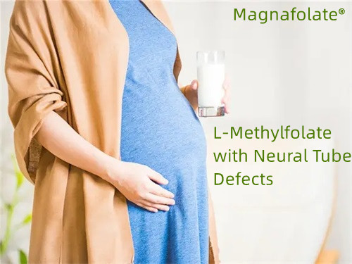 Foliumzuur, L-methylfolaat met neurale buisdefecten