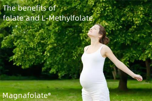 De voordelen van folaat en L-methylfolaat