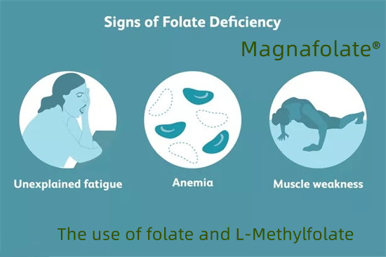 Het gebruik van foliumzuur en L-methylfolaat