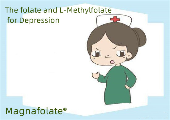 Het foliumzuur en L-methylfolaat voor depressie