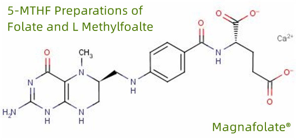5-MTHF-preparaten van foliumzuur en L-methylfoalte