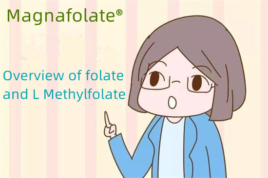 Overzicht van foliumzuur en L-methylfolaat