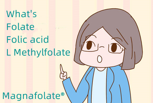 Wat is foliumzuur en foliumzuur en L-methylfolaat?