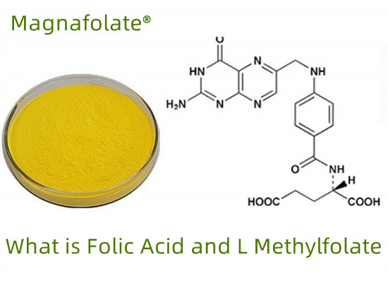 Wat is folaat-foliumzuur-L-methylfolaat?