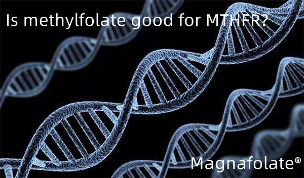 Is methylfolaat goed voor MTHFR?