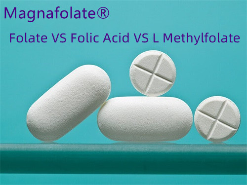 Foliumzuur versus foliumzuur: wat is beter?