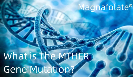 Wat is de MTHFR-genmutatie?