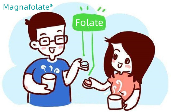 Hoeveel foliumzuur moet je per dag innemen?