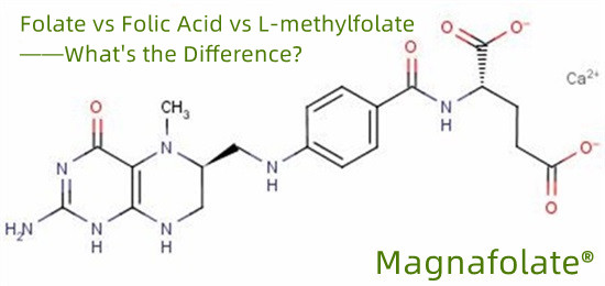 Is methylfolaat een vorm van foliumzuur?