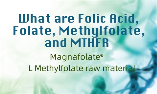 Wat zijn foliumzuur, folaat, methylfolaat en MTHFR?