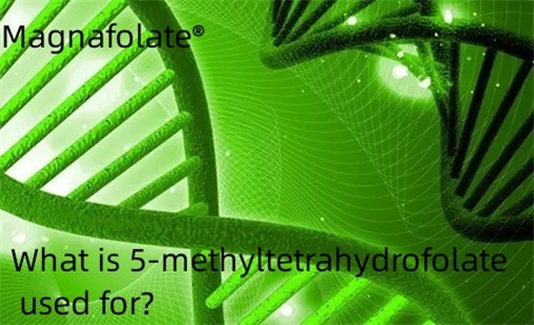 Waar wordt 5-methyltetrahydrofolaat voor gebruikt?