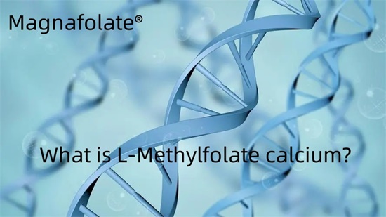 Wat is L-methylfolaat-calcium?