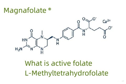 Wat is actief foliumzuur en L-methyltetrahydrofolaat
