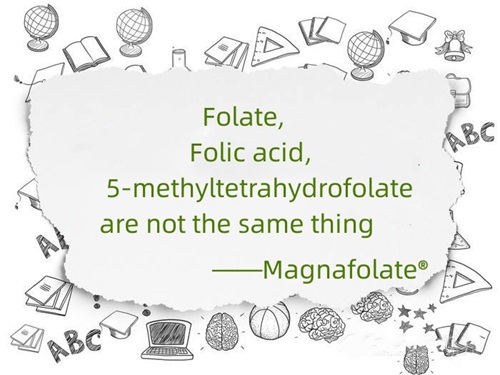 Foliumzuur, foliumzuur en 5-methyltetrahydrofolaat zijn niet hetzelfde