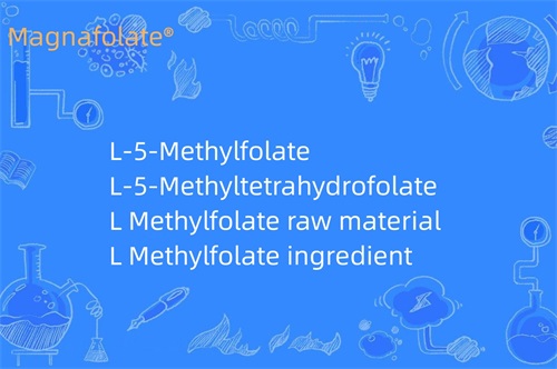 Wat doet L-methylfolaat?