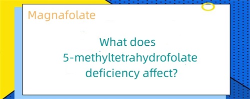 Waarop heeft een tekort aan 5-methyltetrahydrofolaat invloed?