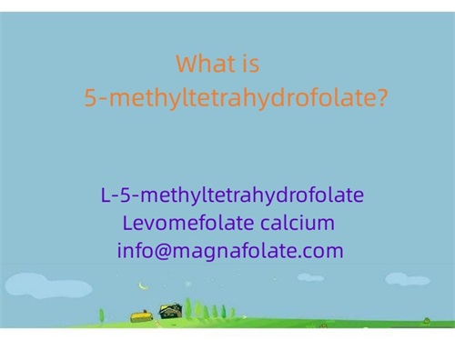 Wat is 5-methyltetrahydrofolaat?
