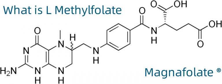 L-5-methyltetrahydrofolaatcalcium CAS-nr.: 151533-22-1
