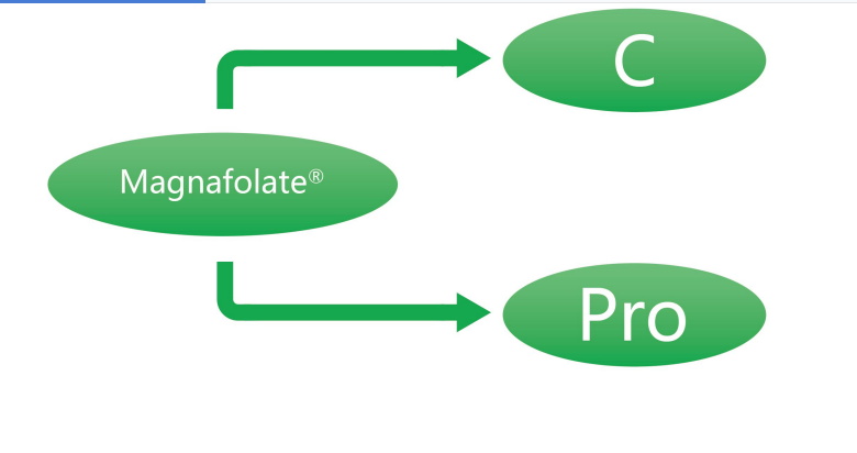 Magnafolaat C en Pro-L-methylfolaatcalcium