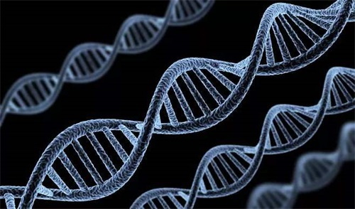 Abnormale genotypen van foliumzuurmetaboliserende enzymen zijn de belangrijkste oorzaak van stoornissen in het foliumzuurmetabolisme