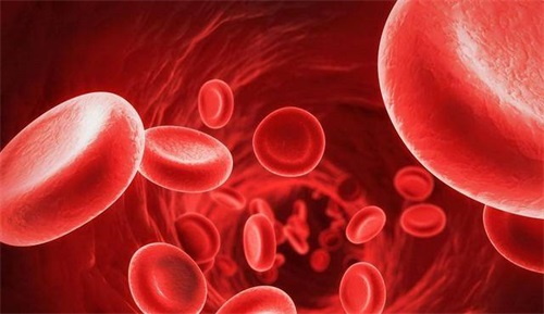 Folaatmetabolismestoornis, wat moeten we doen