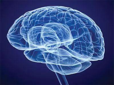 Foliumzuur beschermt het zenuwstelsel en voorkomt dementie en Parkinson