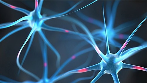 Waarom een ​​tekort aan foliumzuur kan leiden tot neurologische problemen