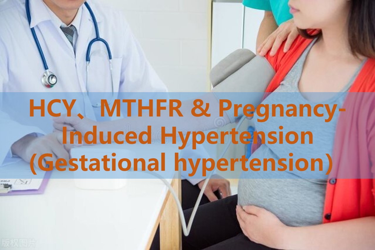 Folaatsuppletie en door zwangerschap geïnduceerde hypertensie (zwangerschapshypertensie): de rol van homocysteïne-niveaus en MTHFR-genetische polymorfismen