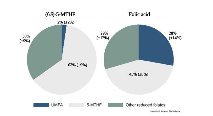 Pas op! Een onderzoek in Scientific Reports bevestigt dat wanneer vrouwen die borstvoeding geven foliumzuur aanvullen, 28% van het foliumzuur in hun melk onbruikbaar, niet-gemetaboliseerd foliumzuur (UMFA) is – 14 maal hoger dan bij moeders die de bioactieve vorm nemen.
